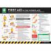 Safety Poster : Workplace Firstaid Guide - Pvc Poster (594 X 420 Mm) 426208