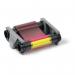 Ribbon Duracard Ymcko Colour 427378