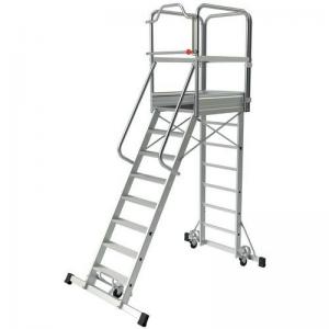Maintenance Platform Single Ladder 820 mm - 8 Steps 428686