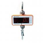 Medium duty crane scale with remote control 428899