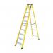 10 Tread Fibre Glassswing Back Step 430148