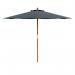 Prince Parasol 430659