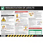 Safety Poster : Resuscitationof Adults - Pvc Poster (594 X 420 Mm) 432675