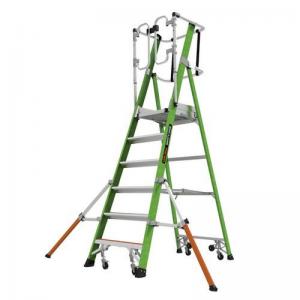 Little Giant Safety Cage - Series 2.0 8 Tread 432850