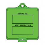 Assettag Flex Medium- Inspection 1 (pk 10 Green) 433443
