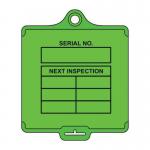 Assettag Flex Medium- Inspection 2 (pk 10 Green) 433451