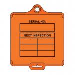 Assettag Flex Medium- Inspection 2 (pk 10 Orange) 433453