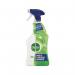 Dettol Mould Mildew Remover 750 ml 434533