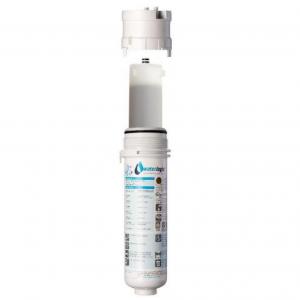 Waterlogic 10" Granular Active Carbon Filter Assembly 437334