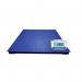 1000Kg Pt Platform Scale With Gk-S Indicator, 1Mx1M 437673