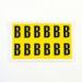 Letter B 12 Characterscard,38 X 21 mm Pack of 10 437827