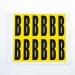 Letter B 12 Characterscard,56 X 21 mm Pack of 10 437828