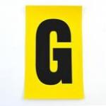 Letter G 1 Charactercard 230 X 140 mm Pack of 10 437861