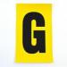 Letter G 1 Charactercard 230 X 140 mm Pack of 10 437861
