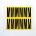 Letter m 12 Characterscard,56 X 21 mm Pack of 10 437894