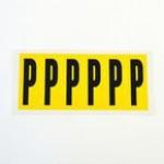 Letter P 6 Characterscard 90 X 38 mm Pack of 10 437913