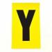 Letter Y 1 Charactercard 230 X 140 mm Pack of 10 437969