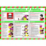 Resuscitation of Adults Safety Poster (590 x 420mm) made from laminated paper.  13219