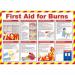 Safety Poster - First Aid For Burns (590 x 420mm) made from laminated paper.  13229