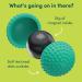 Speks Odds Silicone Magnets Green Dots Pack of 3 Odds3DotsGreen SPK56632
