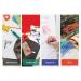 Stabilo Markdry Whiteboard Pencil x4 Assorted +SharpenerCloth 6484-5 SS58252