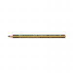 Staedtler Noris Jumbo 119 Learners Pencils HB (Pack of 12) 119 ST11941