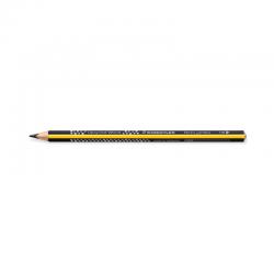 Staedtler Noris Jumbo 119 Learners Pencils HB (Pack of 12) 119 ST11941