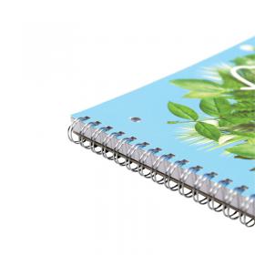 Silvine Premium Environmentally Friendly Ruled Notebook 160 Pages A4 (5 Pack) R202 SV42816