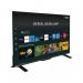 Toshiba VIDAA 24 inch TV HDFull HD 24WV2553DB TE34396