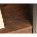 Teknik Office Canyon Lane 3 Shelf Bookcase with a door Brew Oak finish with Grand Walnut accents 3 sturdy 1 inch thick adjustable shelves and black po 5425303