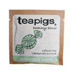 Teapigs Peppermint Leaves Envelope (Pack of 50) FOTEA006 TPG75316