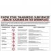 Health Hazards in The Workplace Poster 420x600mm PG23 UP22499