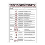Health Hazards in The Workplace Poster 420x600mm PG23 UP22499