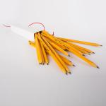 SeaWriter Pencils Pack Of 20 Pencils With Cord