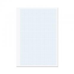 Rhino Stationery Graph Paper