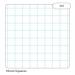 RHINO A4 Punched Exercise Paper 1000 Pages / 500 Leaf 10mm Squared VLL060-10-0
