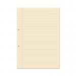 RHINO A4 Punched Exercise Paper 1000 Pages 500 Leaf 8mm Lined with Margin VLL060-44CV-0