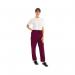 434TR Unisex Smart Scrub Trouser Maroon Size S 434TRMAROS WIS00478