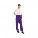 434TR Unisex Smart Scrub Trouser Purple Size 2XL 434TRPURP2XL WIS00506