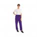 434TR Unisex Smart Scrub Trouser Purple Size L 434TRPURPL WIS00507