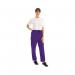 434TR Unisex Smart Scrub Trouser Purple Size S 434TRPURPS WIS00509