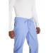 Dickies Signature Drawstring Scrub Bottoms: Comfort & Style for Healthcare Professionals Ceil S WIS22531