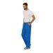 Cherokee Revolution Mens Cargo Trs Royal Blue L CHWW140ROYAL WIS25433