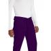 Dickies Signature Drawstring Scrub Bottoms: Comfort & Style for Healthcare Professionals Eggplant S WIS29579
