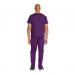 Dickies Signature Unisex Scrub Top: Comfort, Style & Practicality for Healthcare Professionals Eggpl WIS30001