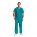 Dickies Signature Unisex Scrub Top: Comfort, Style & Practicality for Healthcare Professionals Teal WIS30023