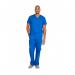 Dickies Signature Unisex Scrub Top: Comfort, Style & Practicality for Healthcare Professionals Royal WIS30037