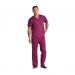 Dickies Signature Unisex Scrub Top: Comfort, Style & Practicality for Healthcare Professionals Wine WIS30067