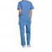 Cherokee Professional V-Neck Scrub Top: Comfortable Medical Workwear for Healthcare Professionals Ce WIS46508