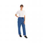 334LWT Unisex Lightweight Scrub Trouser Cornflower Size 3XL 334LWTCORN3XL WIS55351